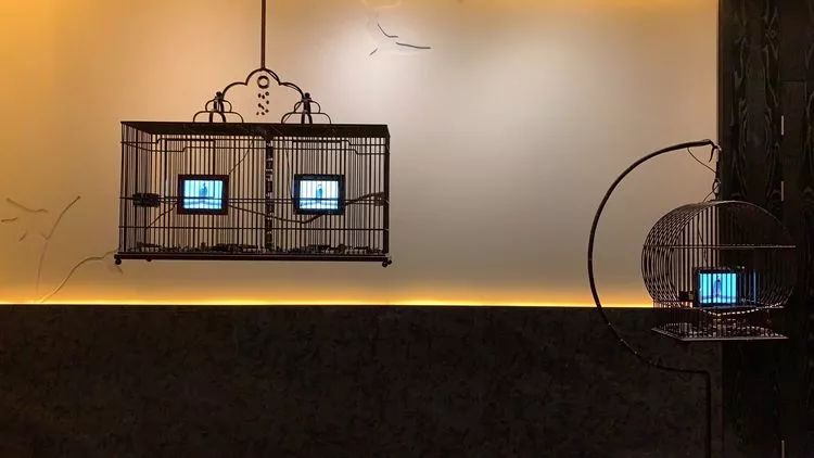 一向以“好吃”出名的凯悦,这次带我把人间三月的春天都吃进了嘴里