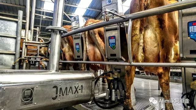 奶牛泌乳期曲线的绘制与分析,奶牛泌乳曲线图的绘制与分析