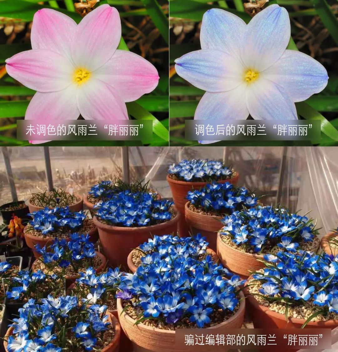 3种方法来辨别真假朋友,三个方面判断骗局