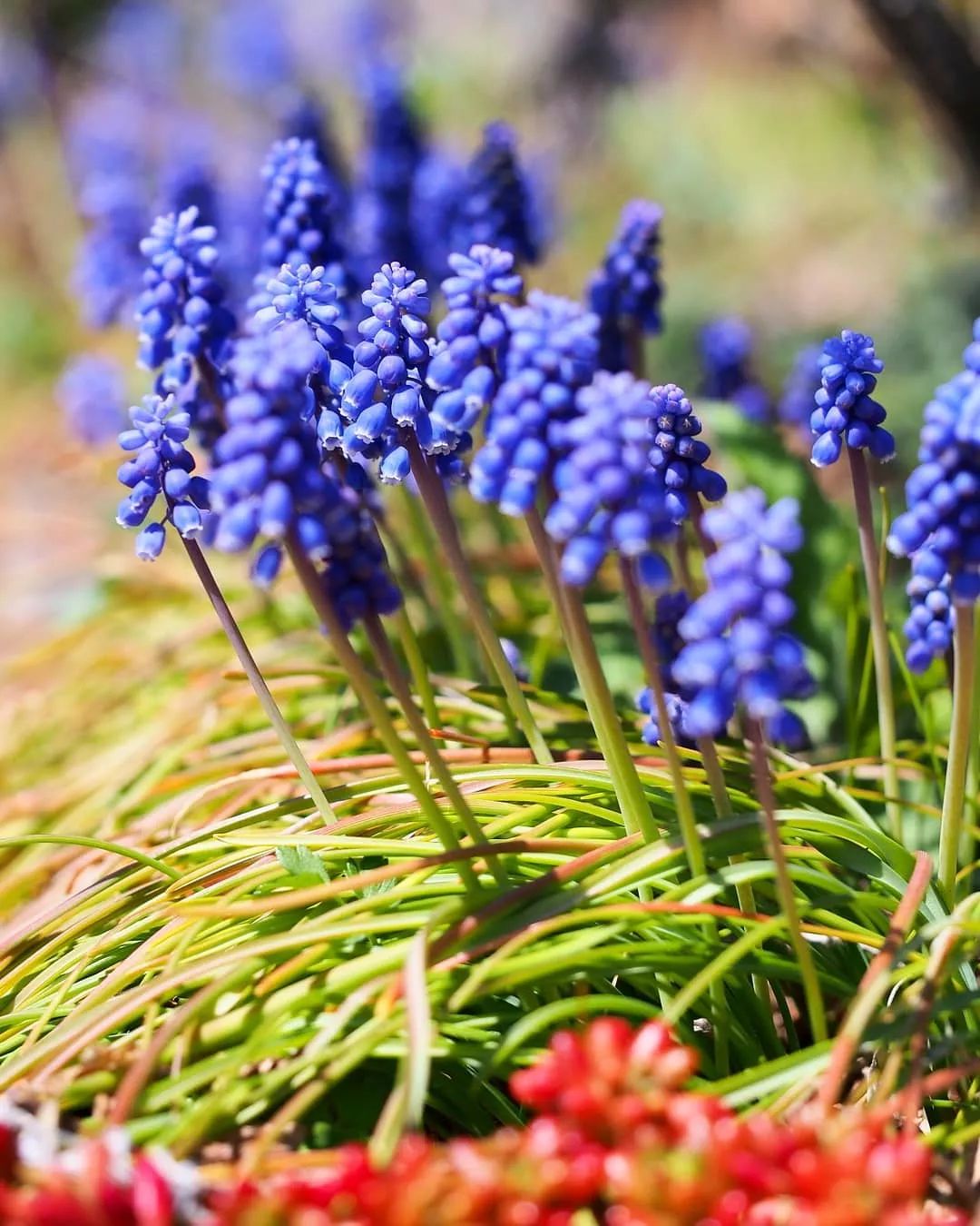 三个方法看透所有谎言,三个方法辨别谎言