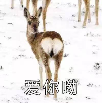 三国手游匡扶汉室,最新三国策略类手游