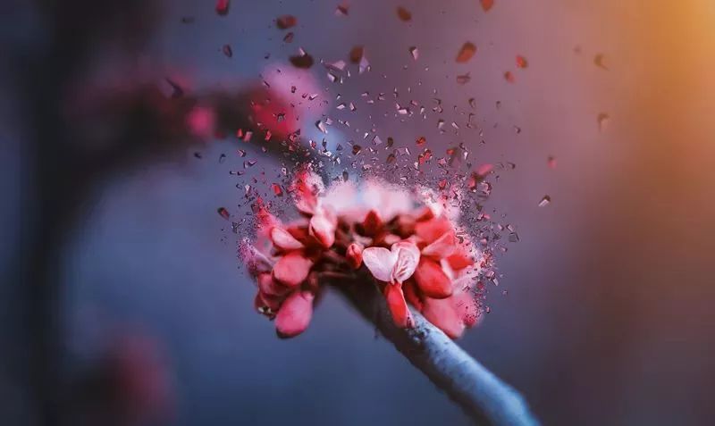 鼻炎救星三年鼻炎终要痊愈,鼻炎折磨人