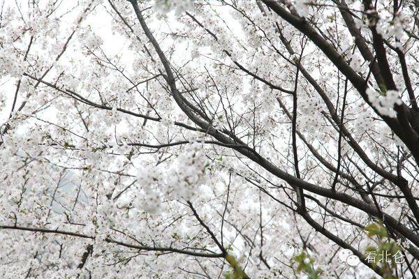 北仑清明游玩,下周北仑旅游景点