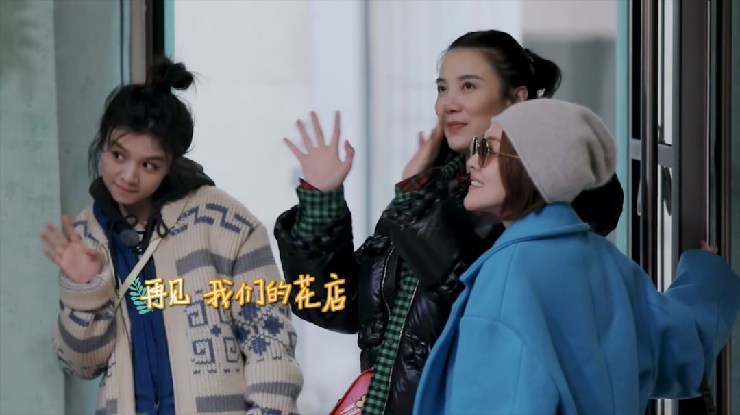 治愈观众，加持品牌：《小姐姐的花店》留下回味无穷