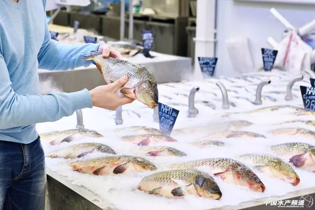 速冻和新鲜海鲜区别,速冻海鲜不新鲜吗