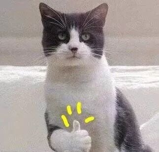 要你好看|听过很多祛痘方法,却还是收拾不了“车祸脸”?