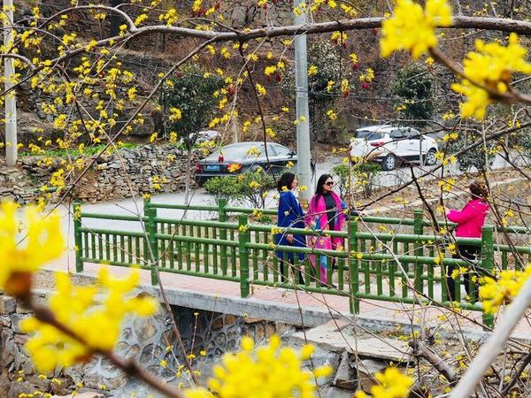 春游郑州这份赏花攻略请收好,郑州自驾踏青赏花好去处