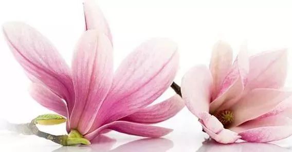 姐妹们输卵管造影检查,妇科检查能查出来有没有做过吗