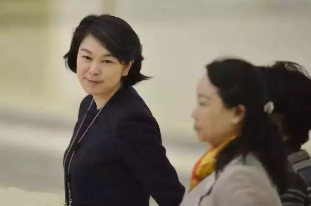 华春莹外交霸气回应,华春莹回应外交问题