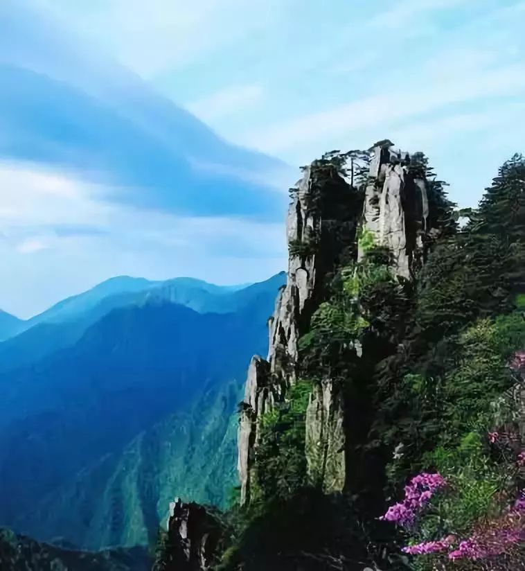 夜读安然完整版,夜读安然