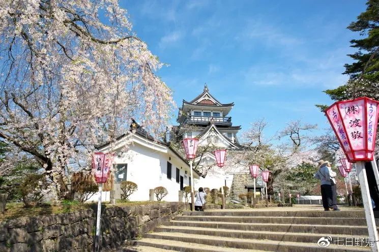 2019年日本大赏排行榜,2018全日本赏樱花旅游攻略