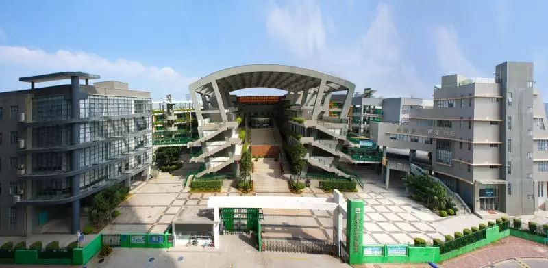 八一八小学,八一小学南山校区地址