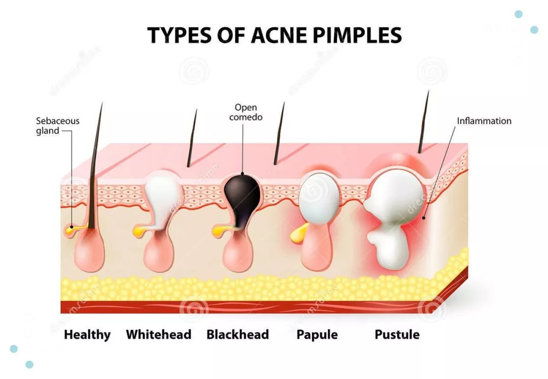 璁╂垜鍥炶喘鐨勫寲濡嗗搧,璁╀汉鎯冲洖璐璶娆＄殑鍙ｇ孩