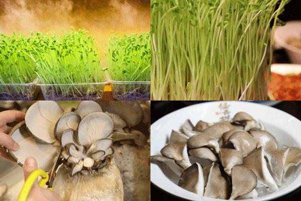 3月网红盘点,3月网红清单