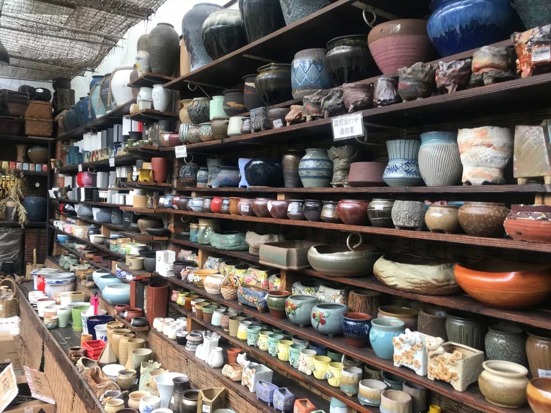 花色撩人,亲测德阳这两家花市,“花chi”去了就不想出来!