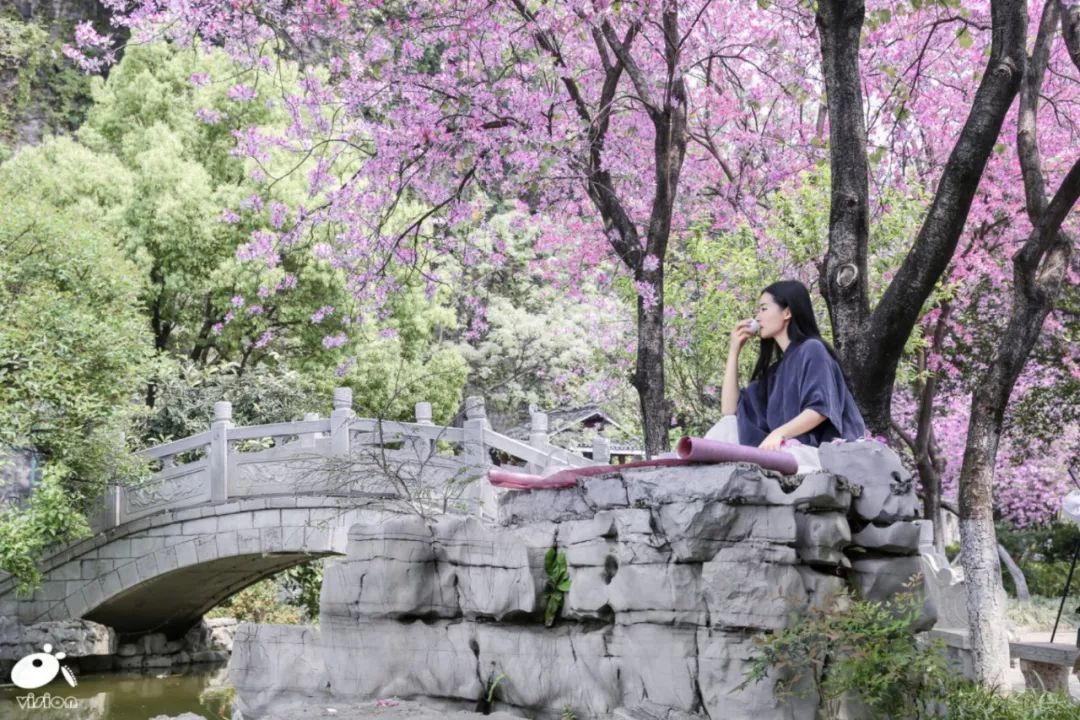 螺蛳粉征服世界,螺蛳粉征服全世界