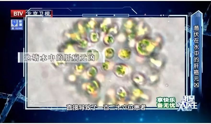 肝毒的克星蔬菜,这种食物是肝脏清道夫