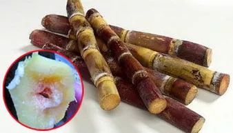 南充常见的这种东西，吃的要当心，发现霉变请立刻丢掉...