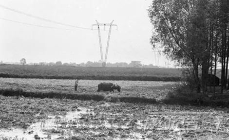 荆州老照片的回忆,最新荆州老照片