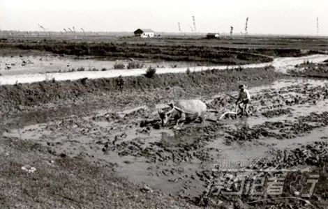 荆州老照片的回忆,最新荆州老照片
