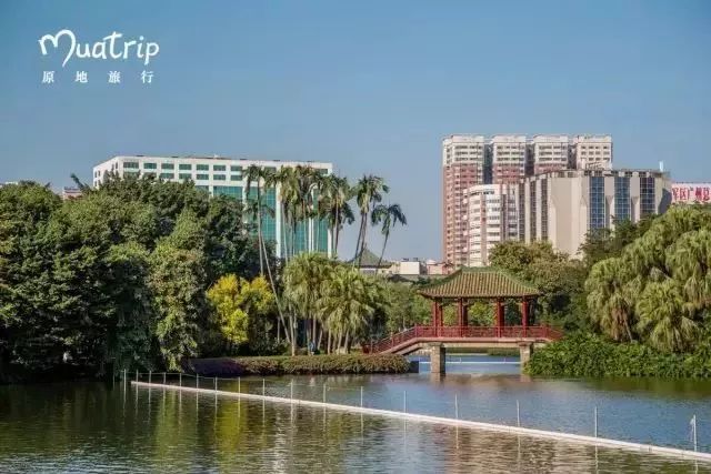 广州适合春游的免费景点,春游广州最适合去的地方