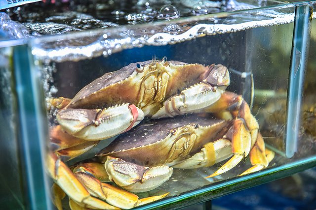 三亚博后村网红打卡地,三亚情侣打卡地推荐