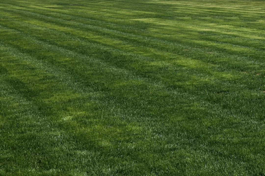 二青会开幕式预告片,二青会场馆比赛安排