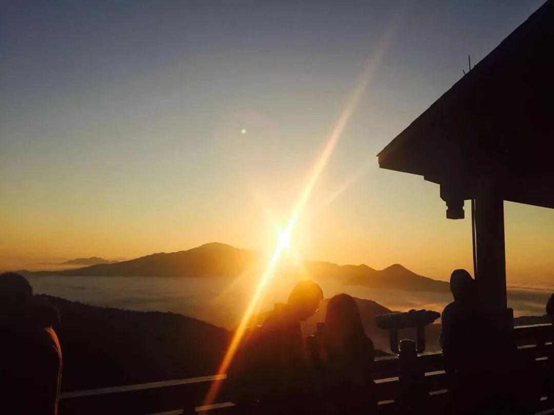 福建树屋酒店推荐,福建特色树屋民宿度假屋特点