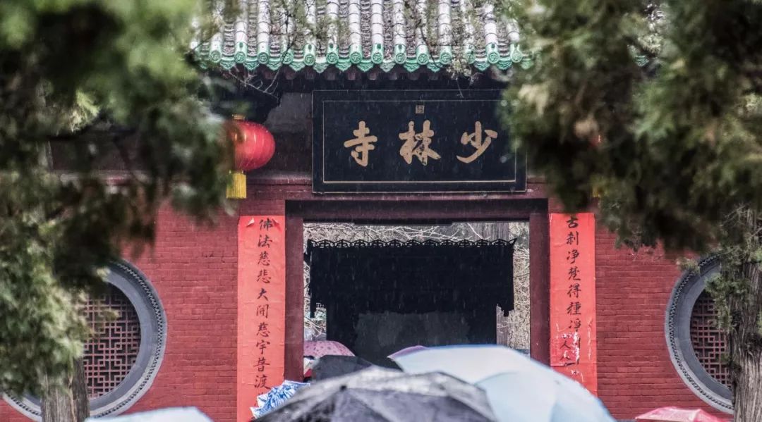 重庆免费退机票,特价机票能退吗退了会扣多少钱