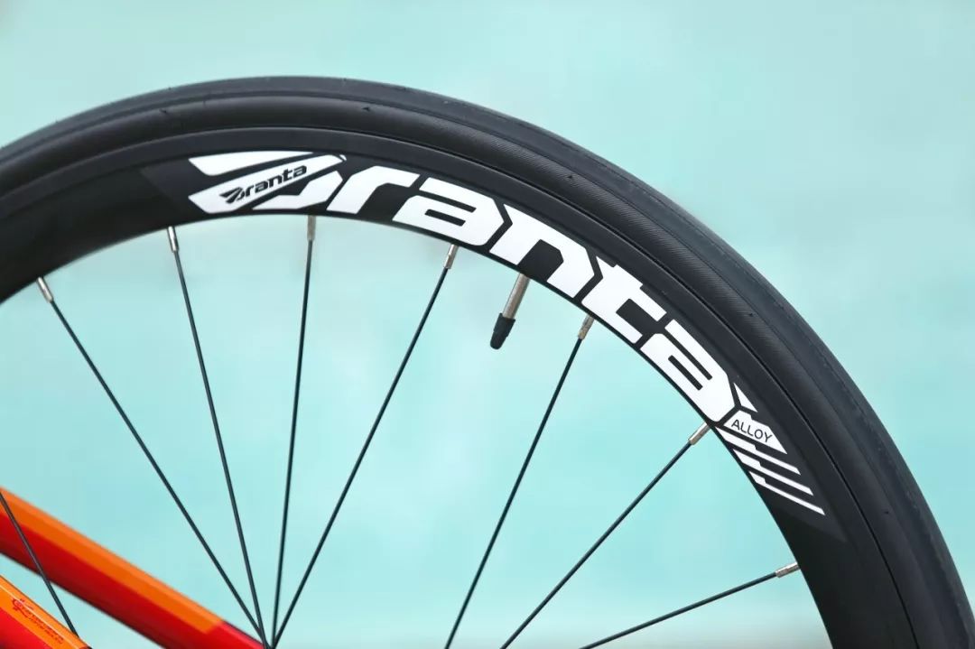 xds喜德盛ad350和rs380怎么选,xds公路车rf380骑行