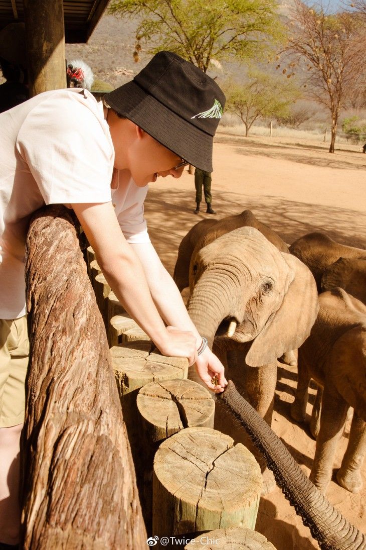 周迅这次种草的包包只要300块，可以拔