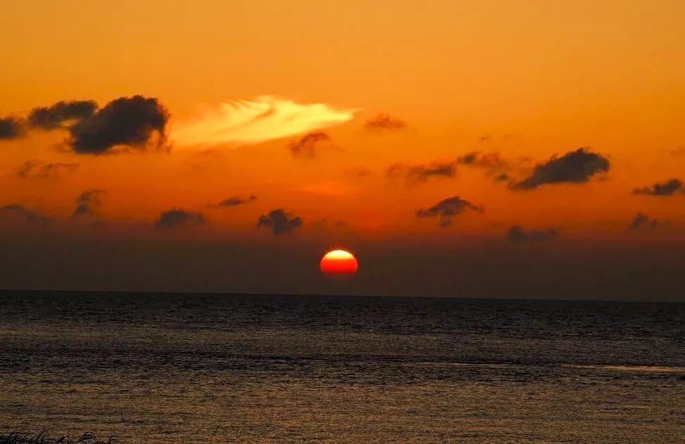 吵翻了！魔都16区终于正面PK！哪个是你心中的C位担当？