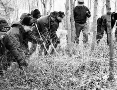 韩国三大悬案失踪案在哪看,韩国三十年未解悬案五少年失踪