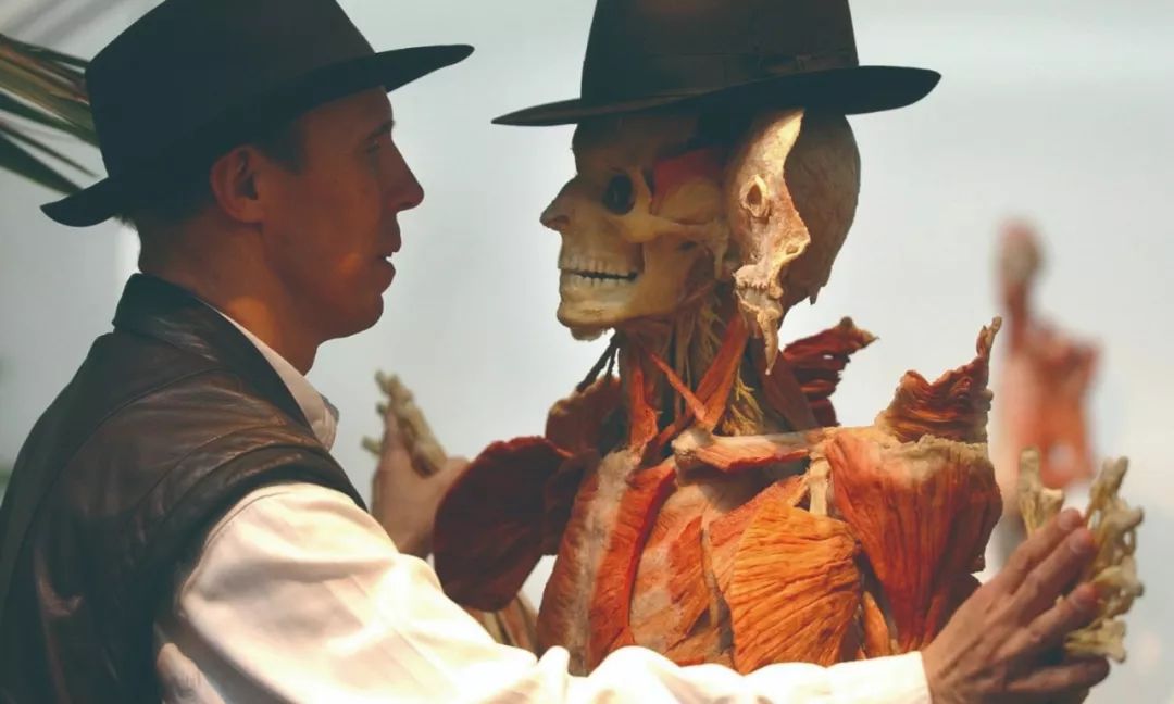 人体泌尿系统标本展览,这样的展览你见过吗