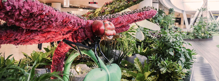 兴耀樟宜机场2025年动工吗,樟宜机场航站楼