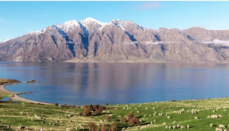 【3折抄底】身体清洁专场:进口、大牌、低至9.9包邮。喜欢干净漂亮的你~