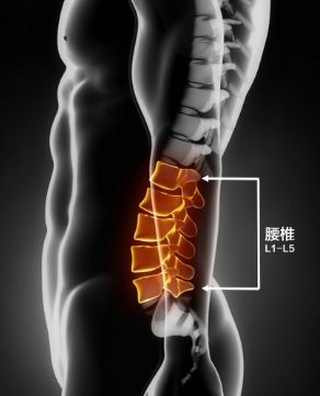 脊柱酸痛可以自愈吗,脊柱引起的背疼