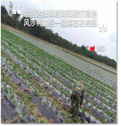 C位出道！嘉美好“藻精灵”正宗的海藻高塔复合肥，赶快报名免费尝鲜啦