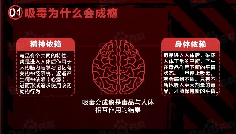 禁毒宣传毒品的危害你一定要知道,禁毒宣传罂粟的危害