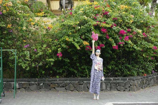 怎么去毛里求斯自由行旅游攻略,毛里求斯环岛路线