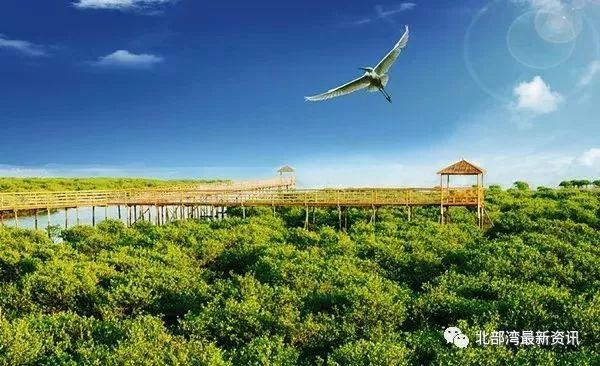 【嘿撩撩啰】壮族三月三,防城港等你撩!