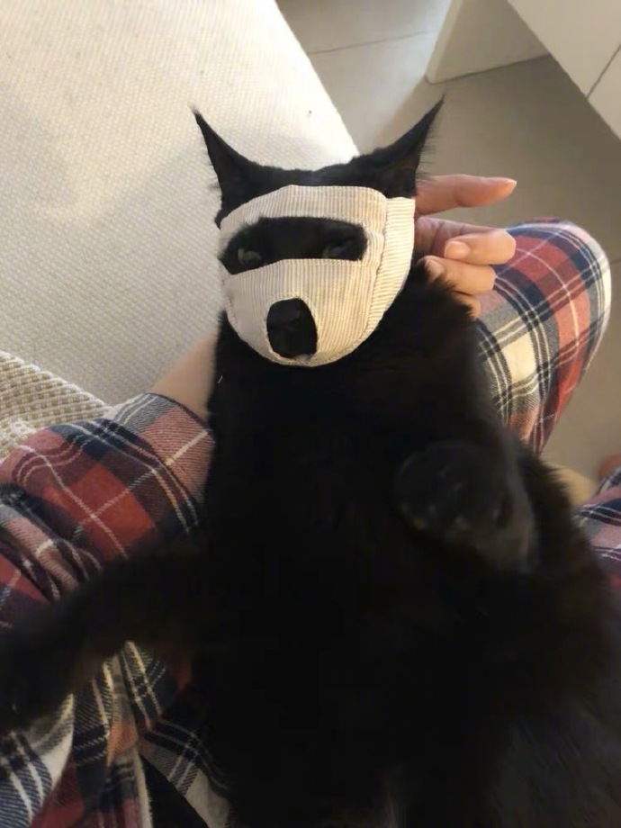 emoji吐舌头模仿挑战,emoji模仿挑战吐舌头