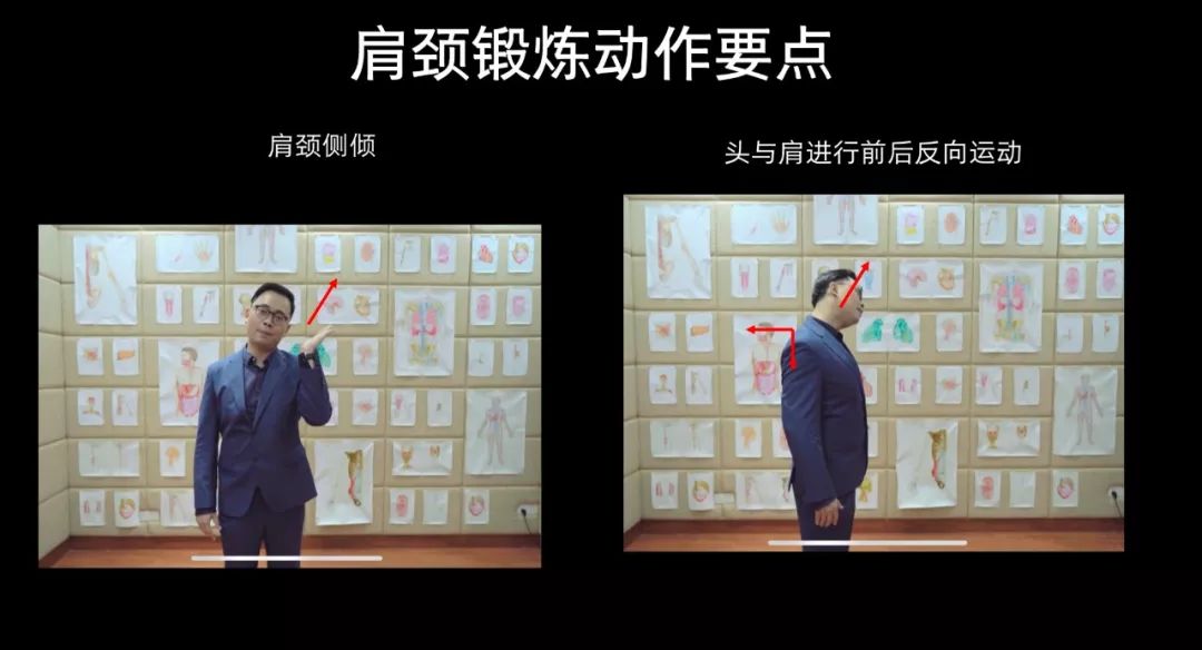 李哲老师解剖腹部肌肉,教你学解剖的李哲是什么人