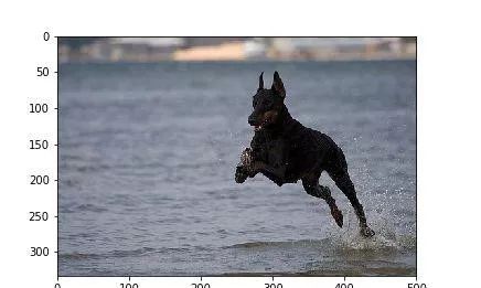 四个任务四个意识,神经网络深层模型和浅层模型