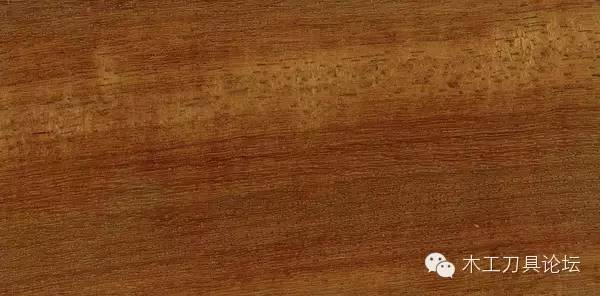 识别木材优劣家居人必备基本功,木材识别基础知识