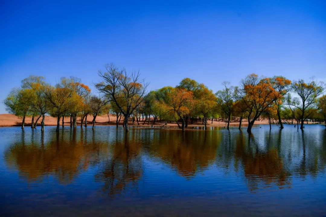 沙漠一年出现的奇观,沙漠黄河的奇景