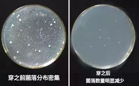 比杜蕾斯还薄的*裤内**，竟能抑制99%的细菌，穿上就像裸着一样