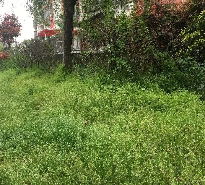 开发商变戏法婺源万源城小区地下室成“地上室”