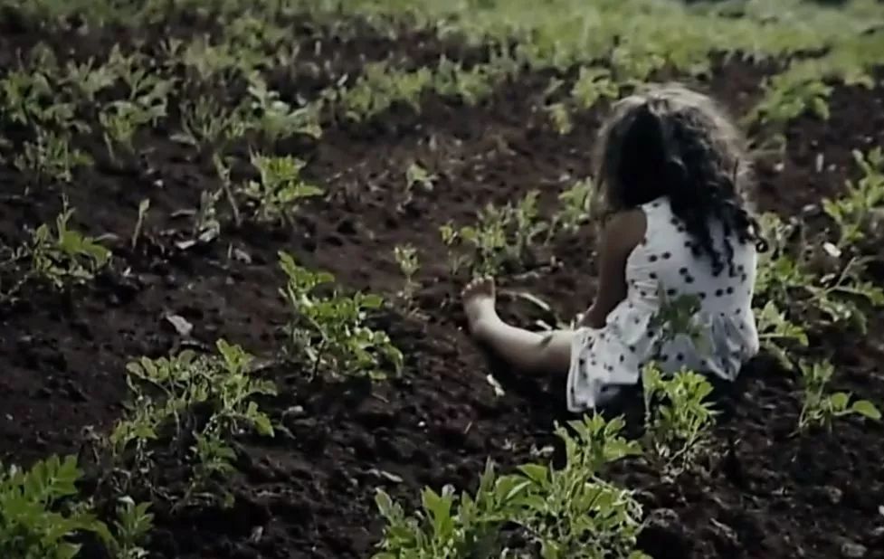 被绑架的4岁小孩,4岁儿童被绑架