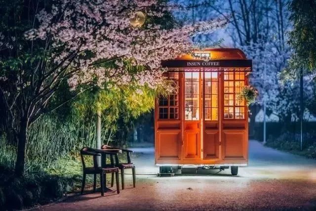 上海顾村公园赏樱花图片,全季顾村公园